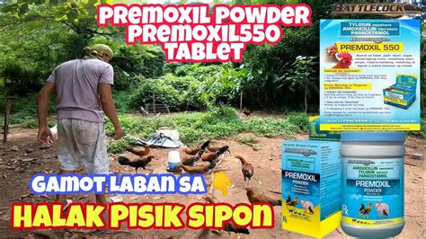 gamot sa halak ng sisiw|Premoxil Powder para sa Sakit ng Sisiw (Sipon, Pisik, Halak).